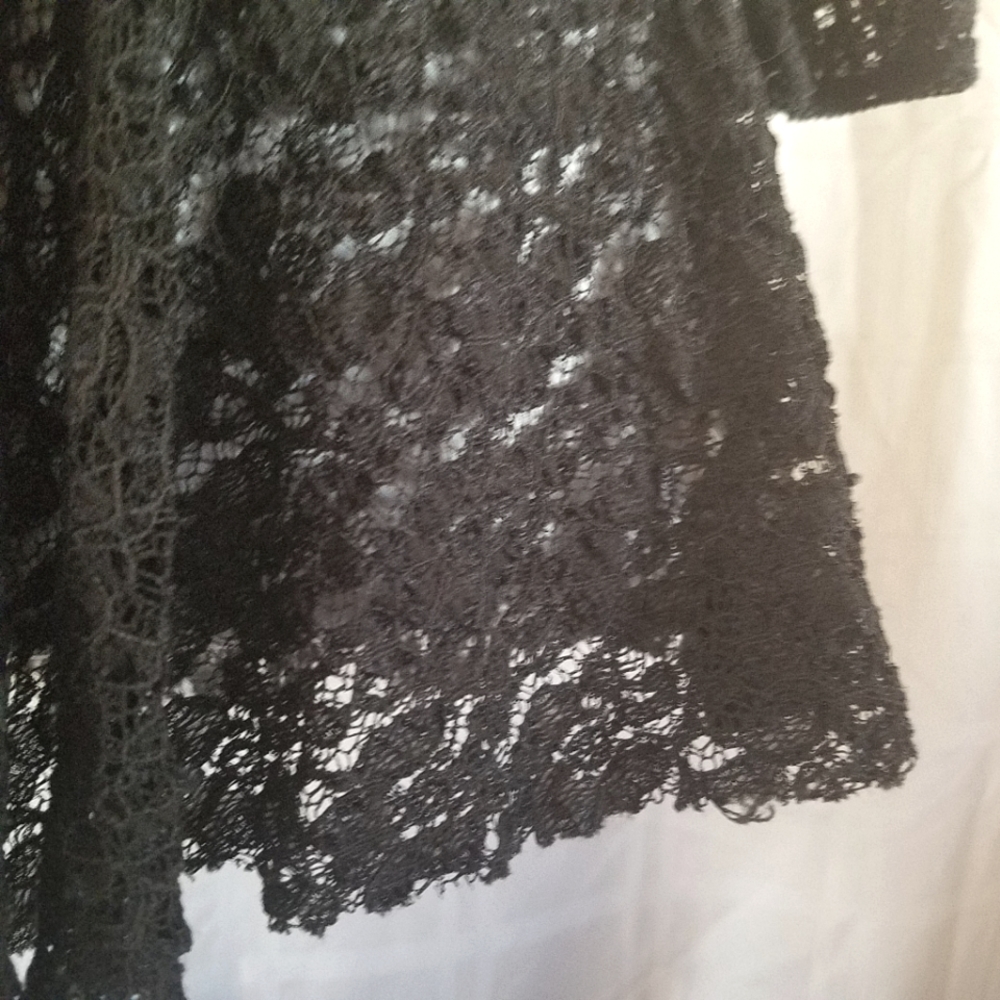 Free People Sheer Lace Top - Picture 4 of 5